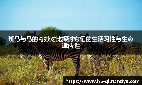 斑马与马的奇妙对比探讨它们的生活习性与生态适应性